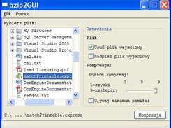 Polish Version: file selected