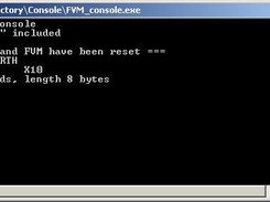 Console running a FVM