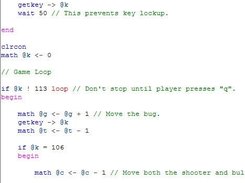 Some code from a game.