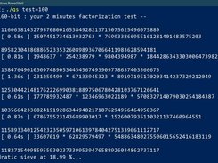 Yourfactorization  software test feature with 160-bit inputs (Microsoft Windows)