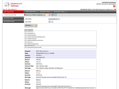 CacheGuard WAF Auditing