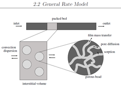 Sketch of the General Rate Model principles