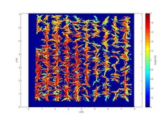 Heigt map of maize generated by CAHST in false color. Such height maps are used to calculate height statistics.