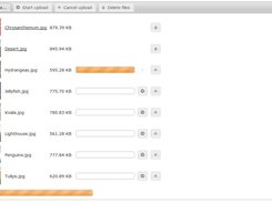 Jquery File Upload