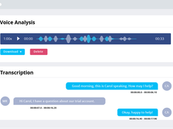 Call Transcriptions and Analysis