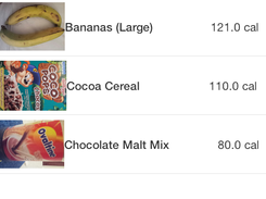 Calories are recorded on a daily calorie journal.