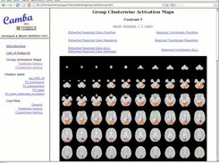 Report page of Group Mapping showing active clusters 