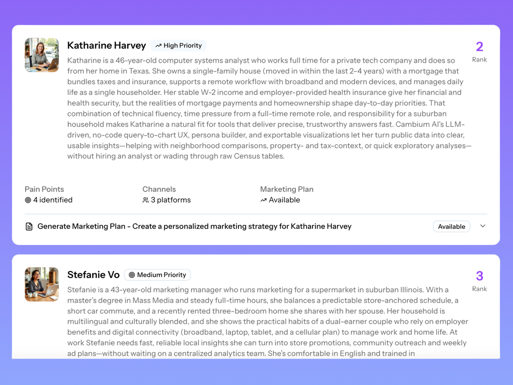 Cambium AI Personas - Public Data