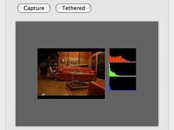 Capture an image, and display a thumbnail.