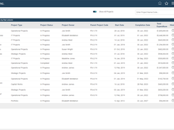 Portfolio and Program Governance