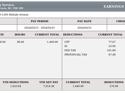 Canadian Pay Stub Screenshot 1