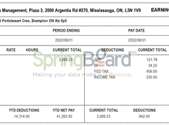 Canadian Pay Stub Screenshot 1