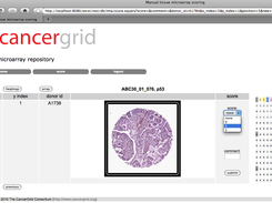 Heatmap view and scoring form
