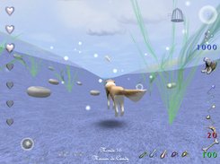 Underwater Swimming!