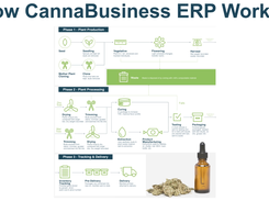 CannaBusiness ERP Screenshot 1