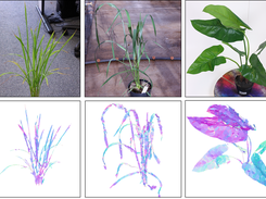 Reconstruction of rice, wheat, and a braod-leafed test plant