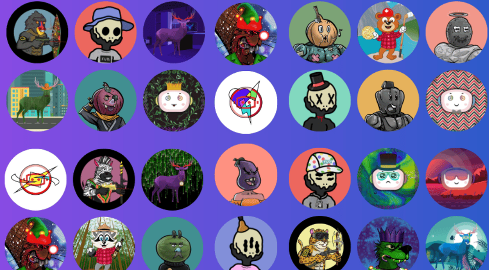 Canucks Publishing Screenshot 1