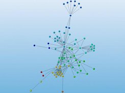 Network graph