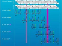 Genome browser