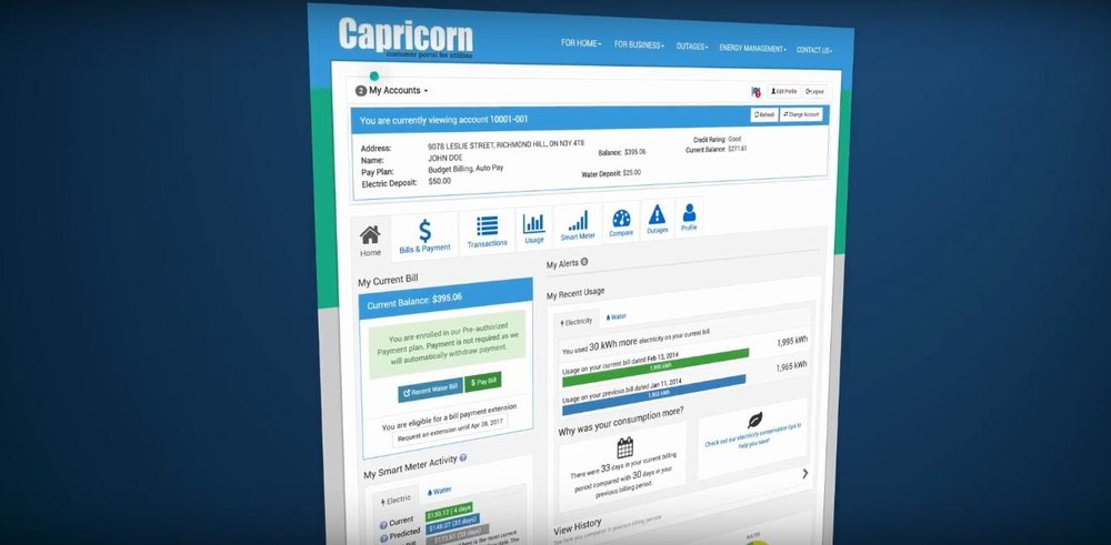 Capricorn Dashboard