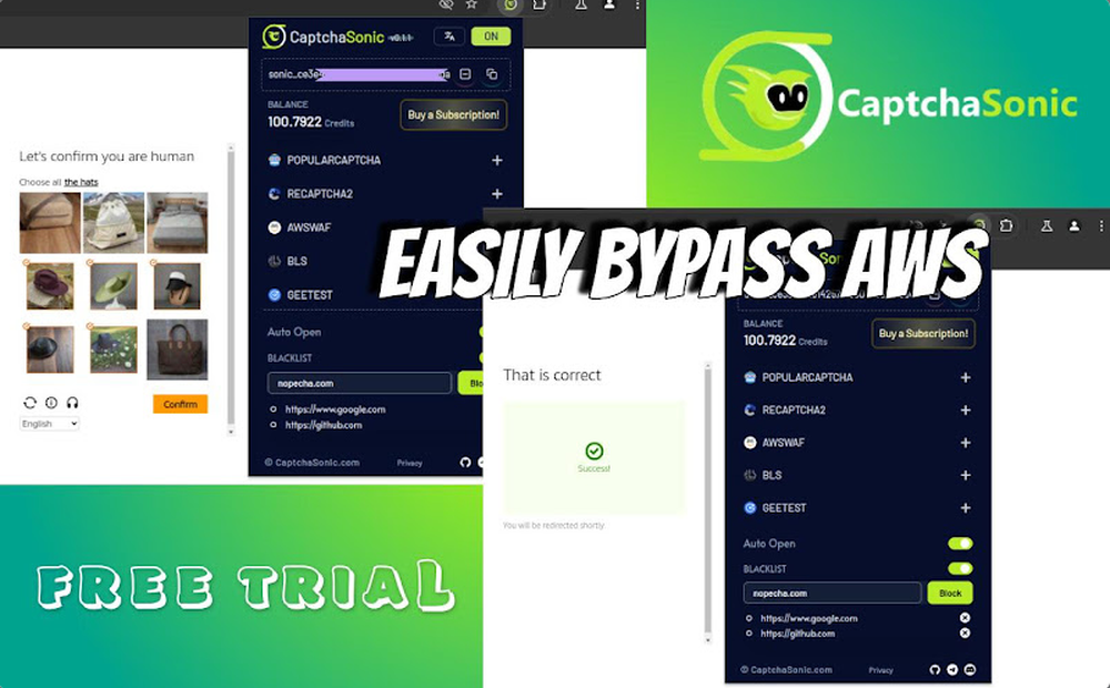 CaptchaSonic Screenshot 1