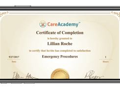 CareAcademy Screenshot 1