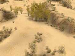 Desert biome