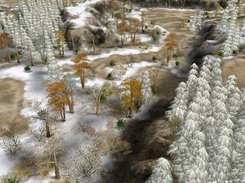 Alpine biome