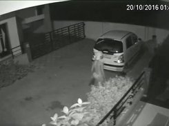 Sample CCTV Footage Frame