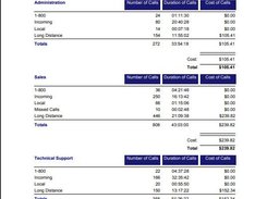 CASH+ Call Acoounting Department Summary