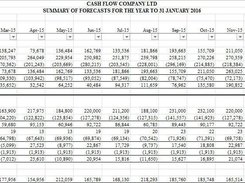 Cash Forecaster  Screenshot 1