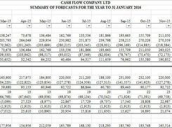 Cash Forecaster  Screenshot 1