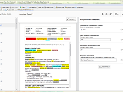Manual Annotation