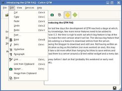 The QTM edit menu