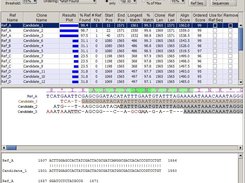 CATO Analysis Screenshot