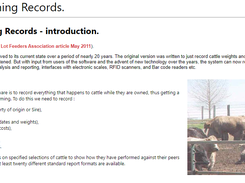 Cattle Fattening Records Screenshot 1