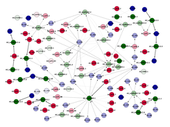 Subset of the graph obtained by working on the GAGE Rodhobacter data. The three colors of the nodes represent the three input assemblies. Levels of transparency are used to indicate the contigs that were eliminated at different stages (before the construction of the assembly graph, and after searching for the best pathes in the graph).