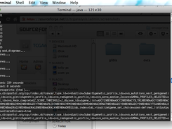 Terminal running shell script(s)