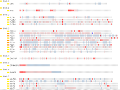 2nd generation look-up table
