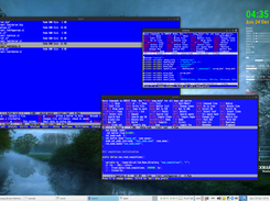 Jed on urxvt, xterm and xjed