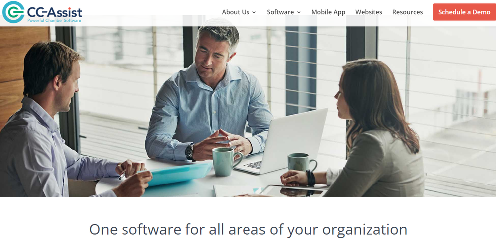 CC-Assist.NET Screenshot 1