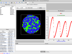 Simulation where target volume of each cell is linked to concentration of S1 oscillating species