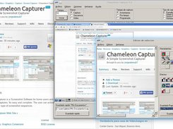 Chameleon Capturer working in Linux with Wine