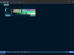 ccc.nvim Screenshot 2