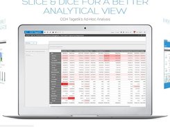 CCH Tagetik AdHoc Analysis