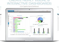 CCH Tagetik Dashboard