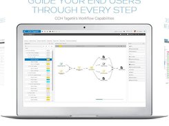 CCH Tagetik Workflow