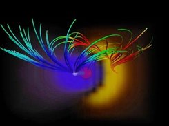 Water electric field and electrostatic potential