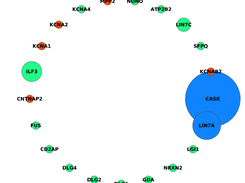Example showing community obtained from a human Active Zone network using MixtureModel_v1r1. Node size here illustrates the degree correlated bridgeness of proteins with their overlapping communities in the network