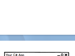 CefSharp Screenshot 2